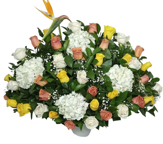 Jardín Pastel