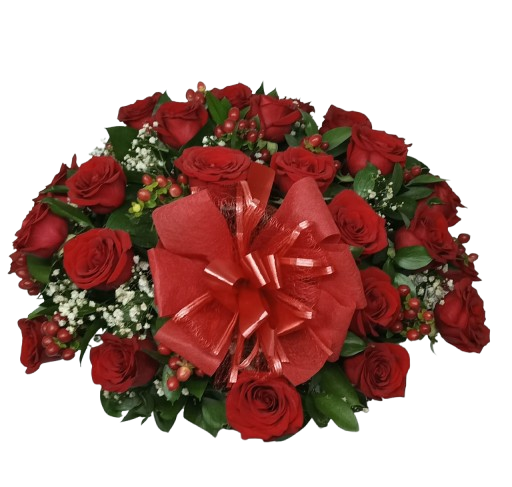 Abrazos de Rosas